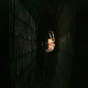 Image for article titled Spider webs are literally attracted to some insects